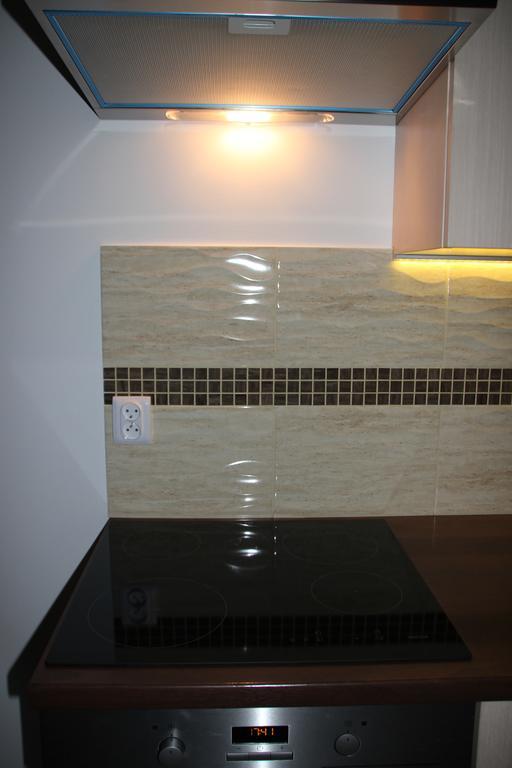 Apartment Wielicka Cracow